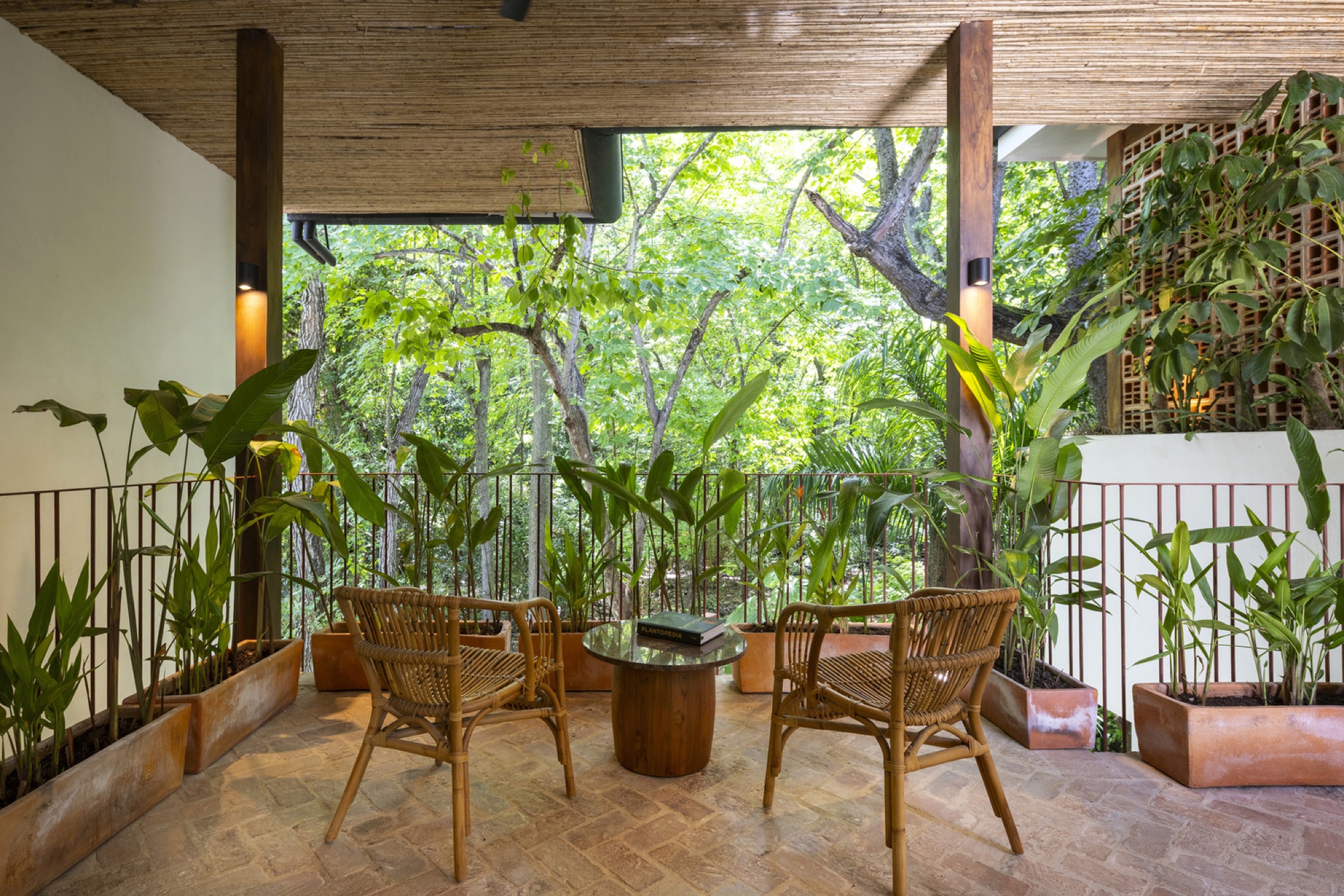 Terrasse ombragée aux fauteuils de rotin, ouverte sur la végétation tropicale