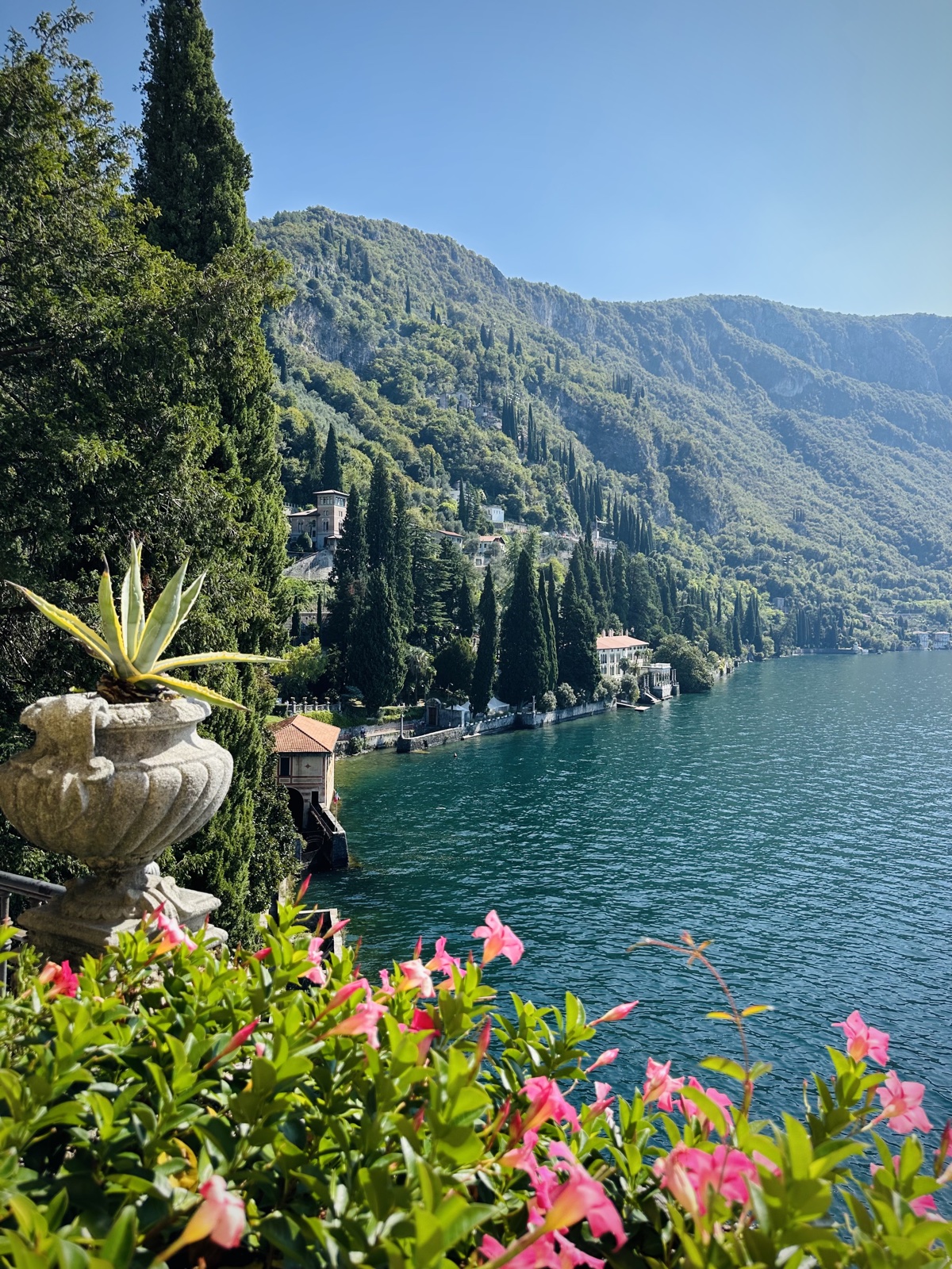 Villas anciennes implantées dans la pente boisée au bord du lac de Côme